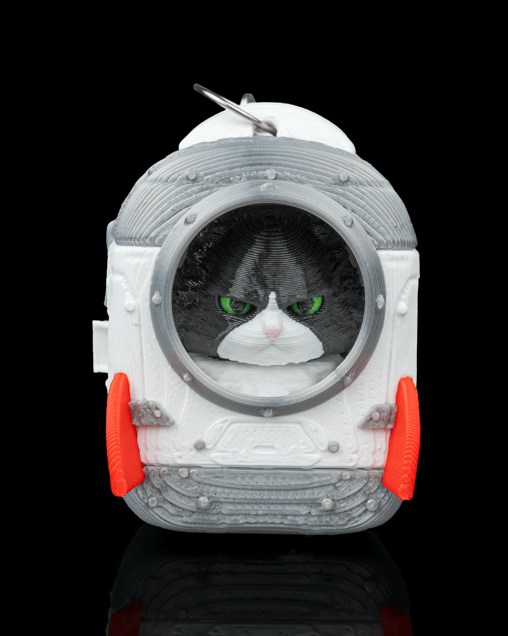 Launch Pack Maine Coon Cat Toy