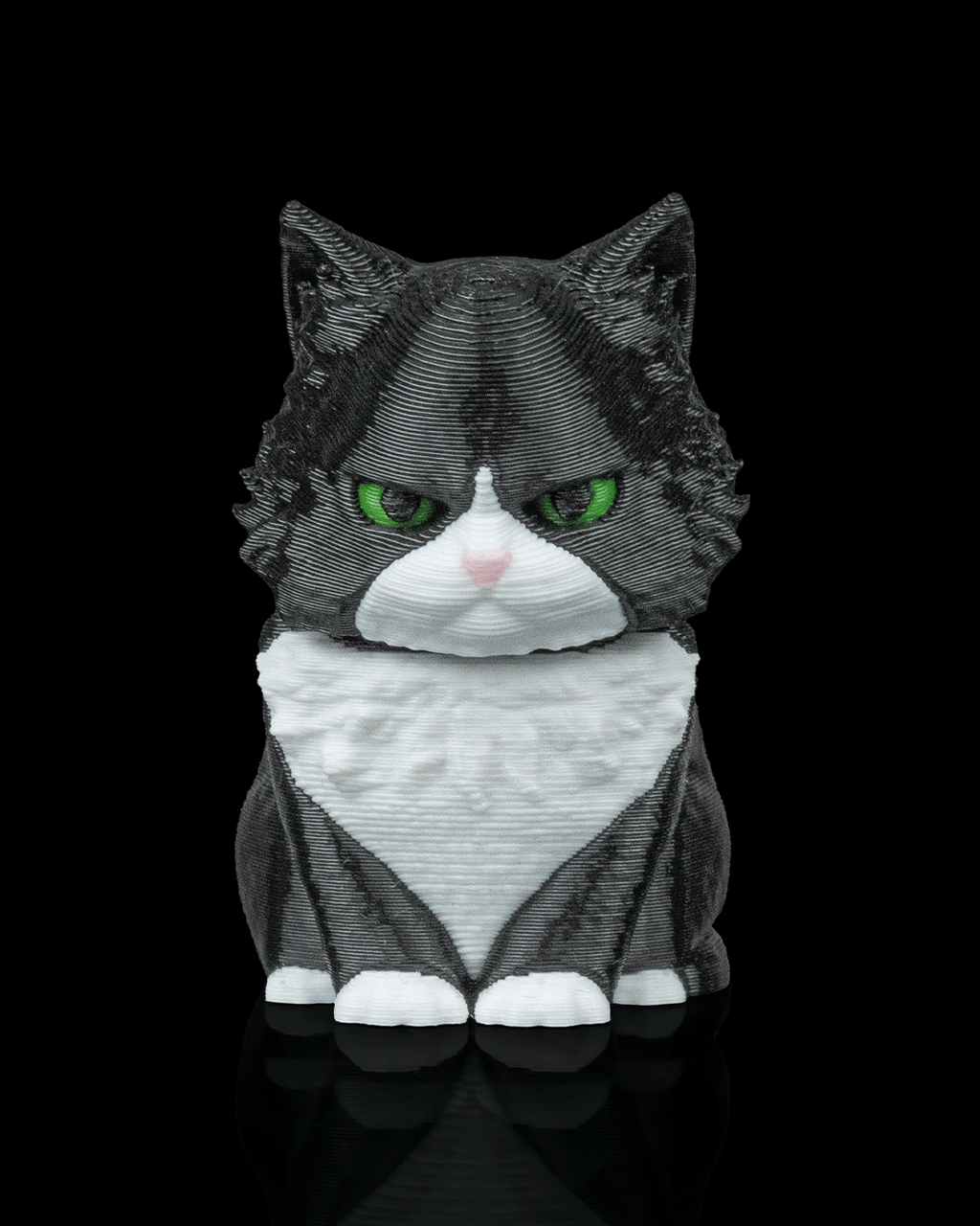 Launch Pack Maine Coon Cat Toy