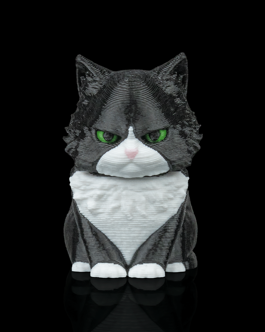 Launch Pack Maine Coon Cat Toy