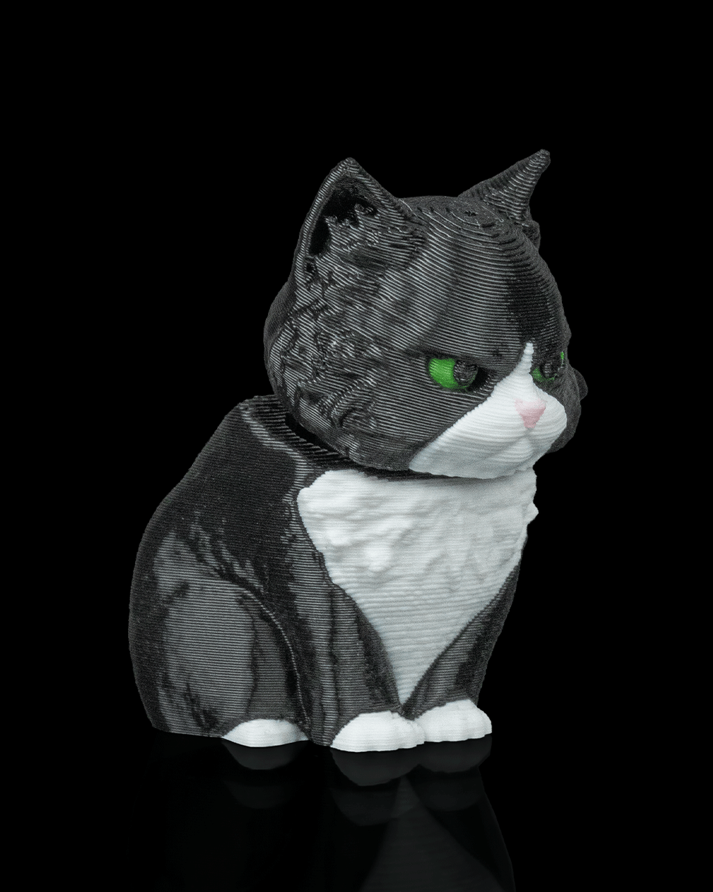 Launch Pack Maine Coon Cat Toy