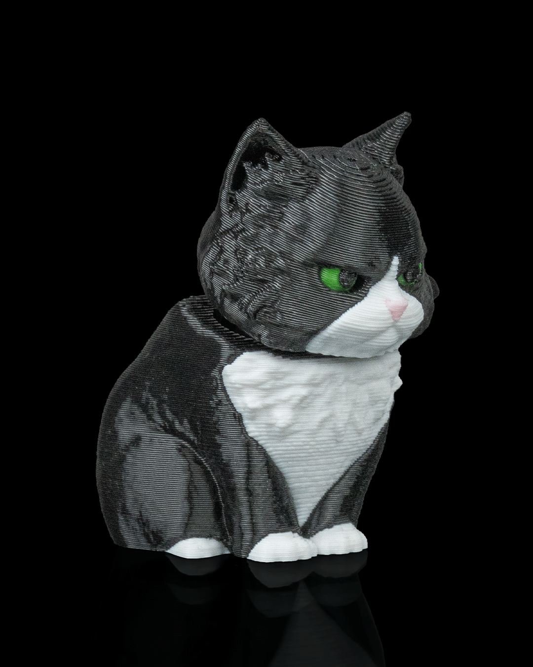 Launch Pack Maine Coon Cat Toy