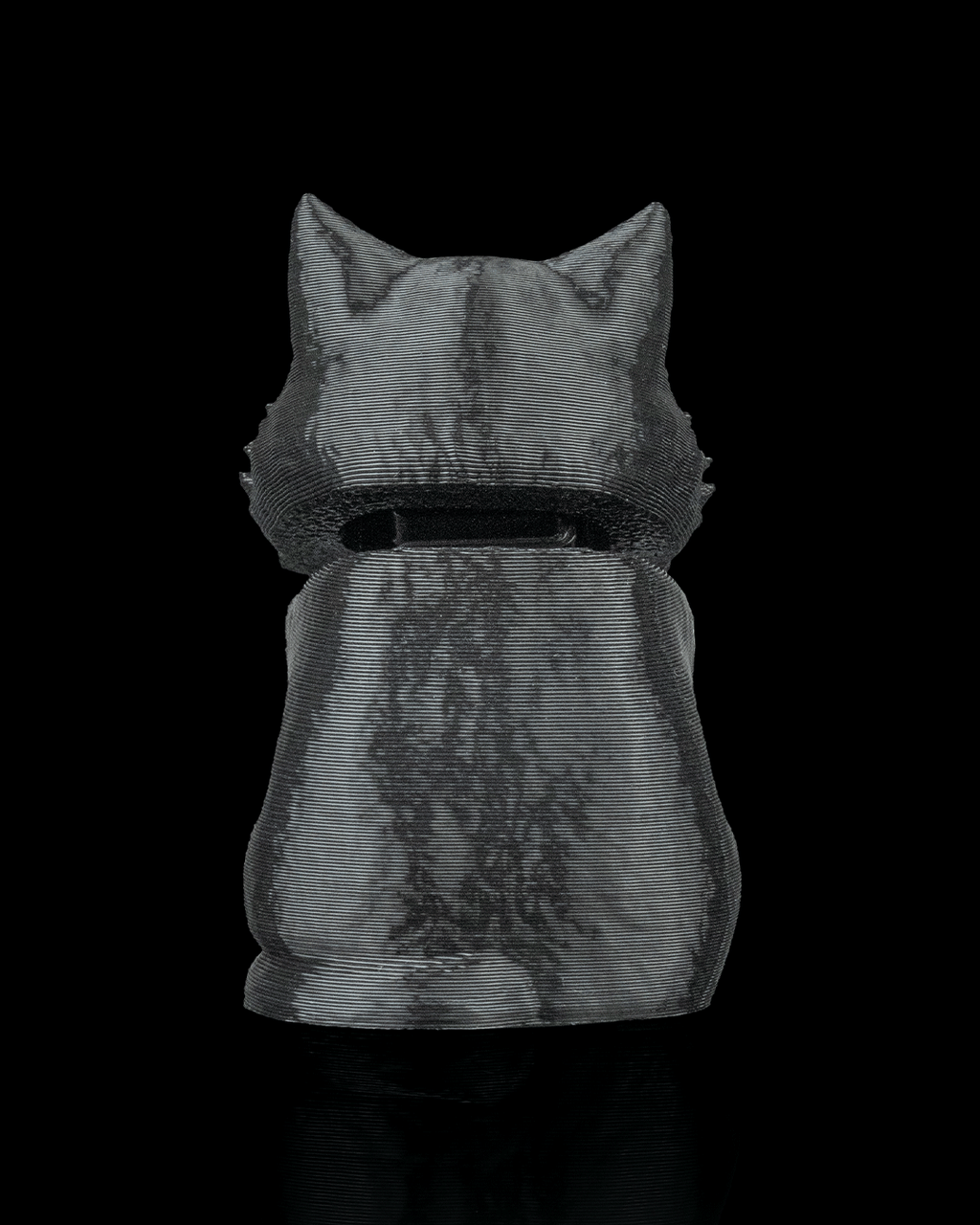 Launch Pack Maine Coon Cat Toy