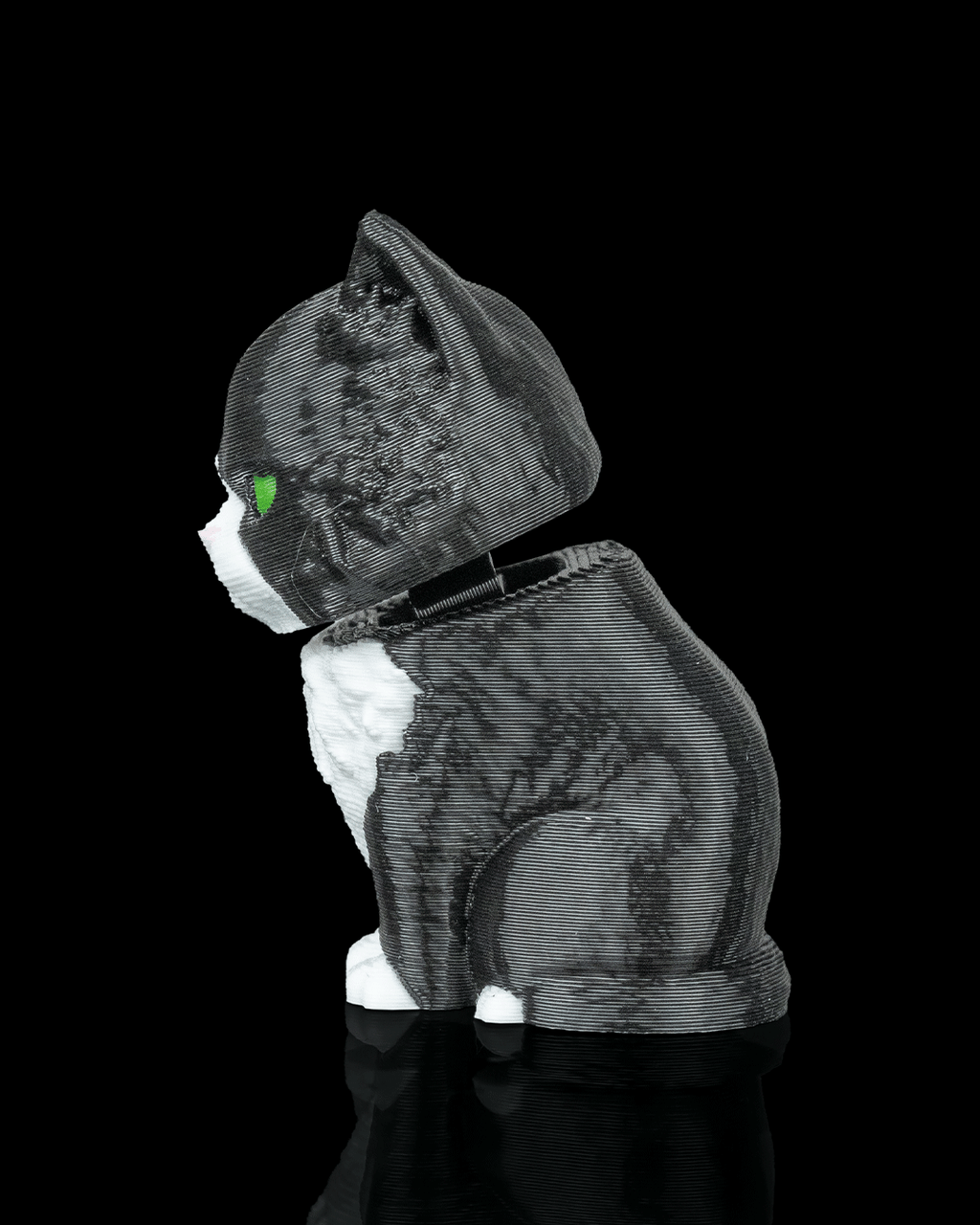 Launch Pack Maine Coon Cat Toy