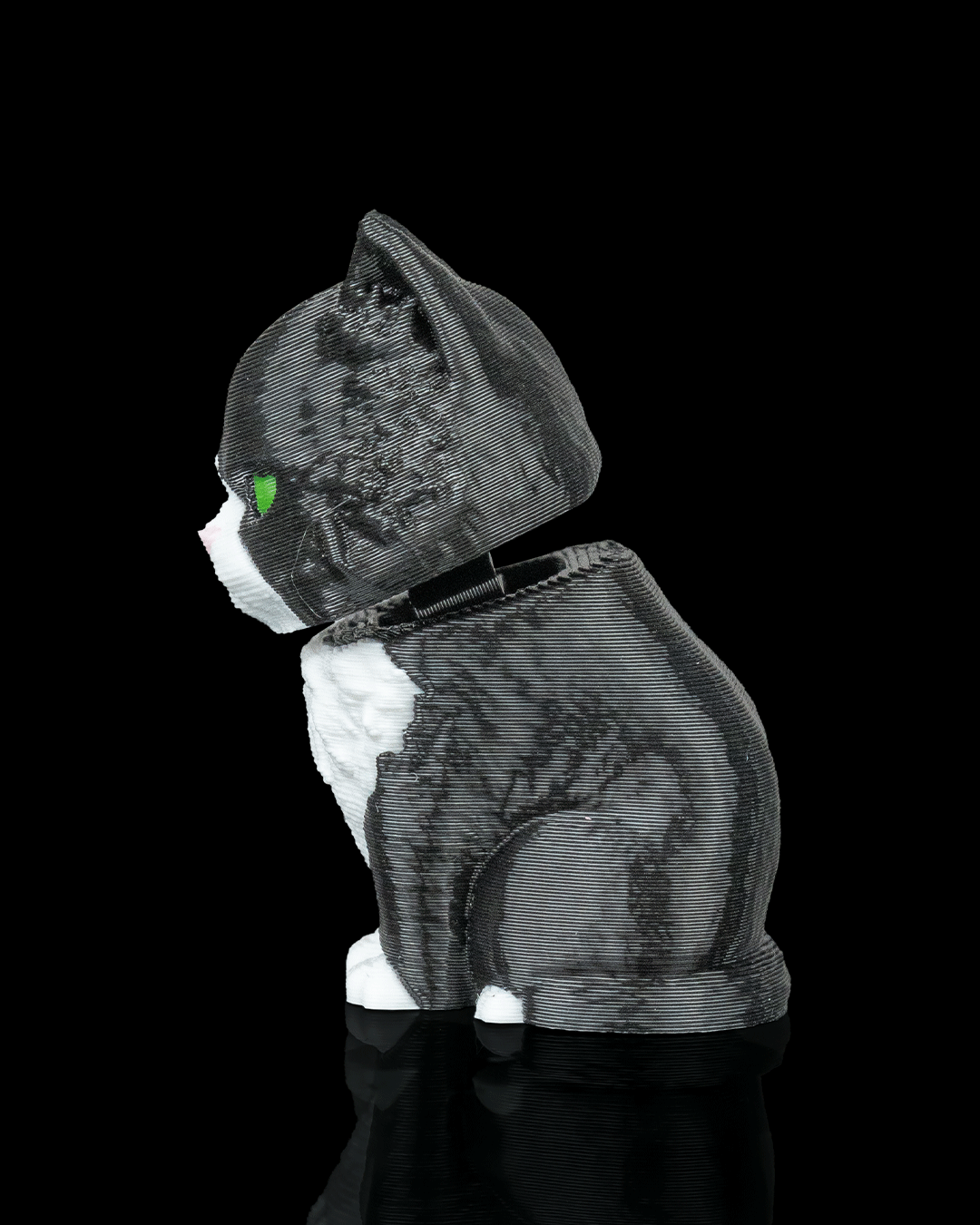 Launch Pack Maine Coon Cat Toy