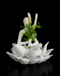 3D Printed Lotus Planter – Meditation Figure Flower Holder, Zen Yoga Décor