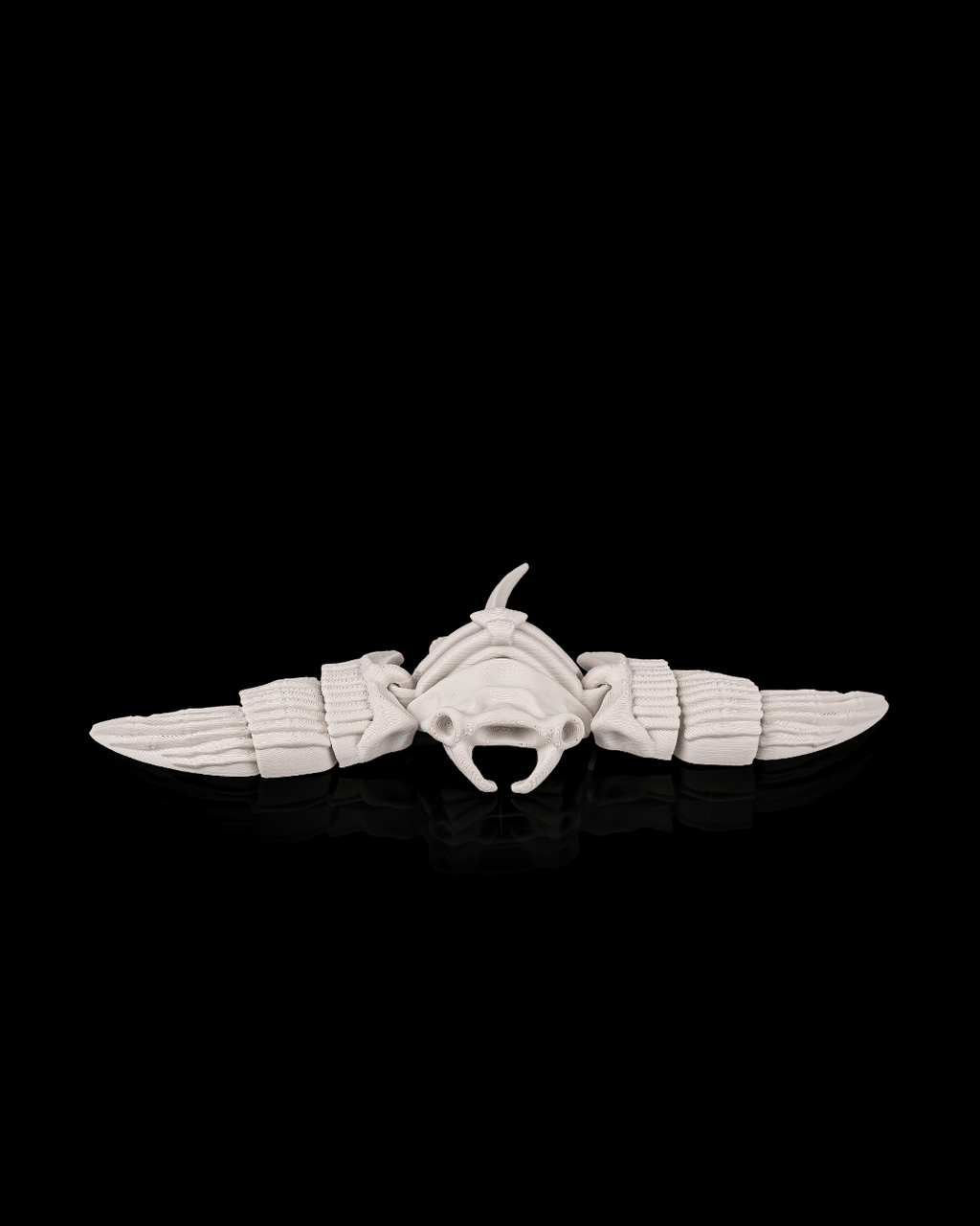 Skeleton Manta Ray