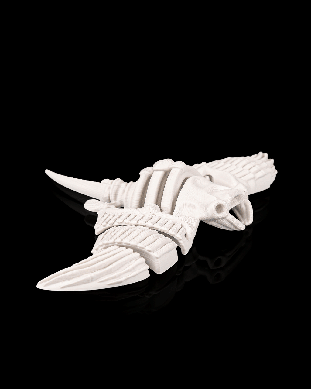 Skeleton Manta Ray