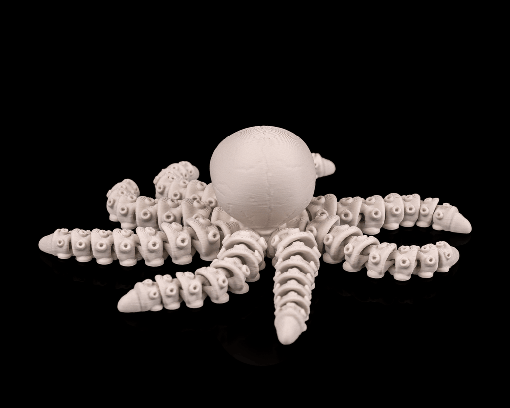 Skeleton Octopus