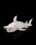 Skeleton Shark