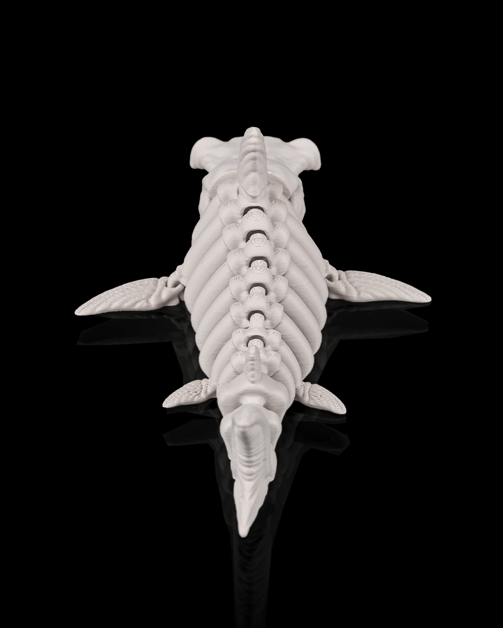 Skeleton Shark