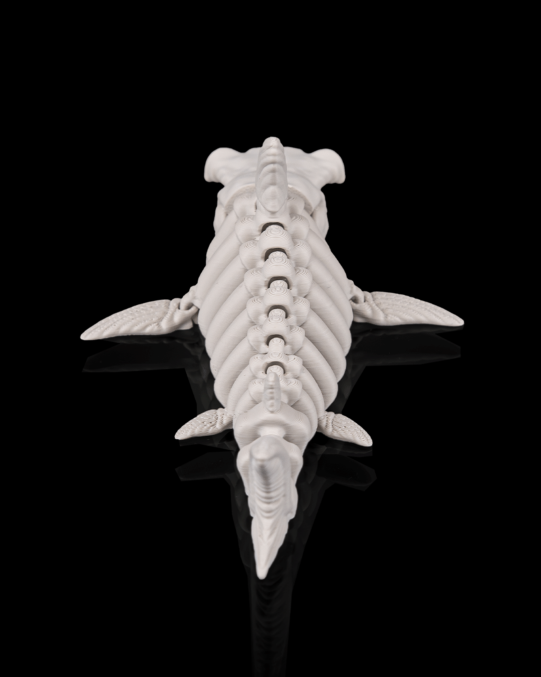 Skeleton Shark