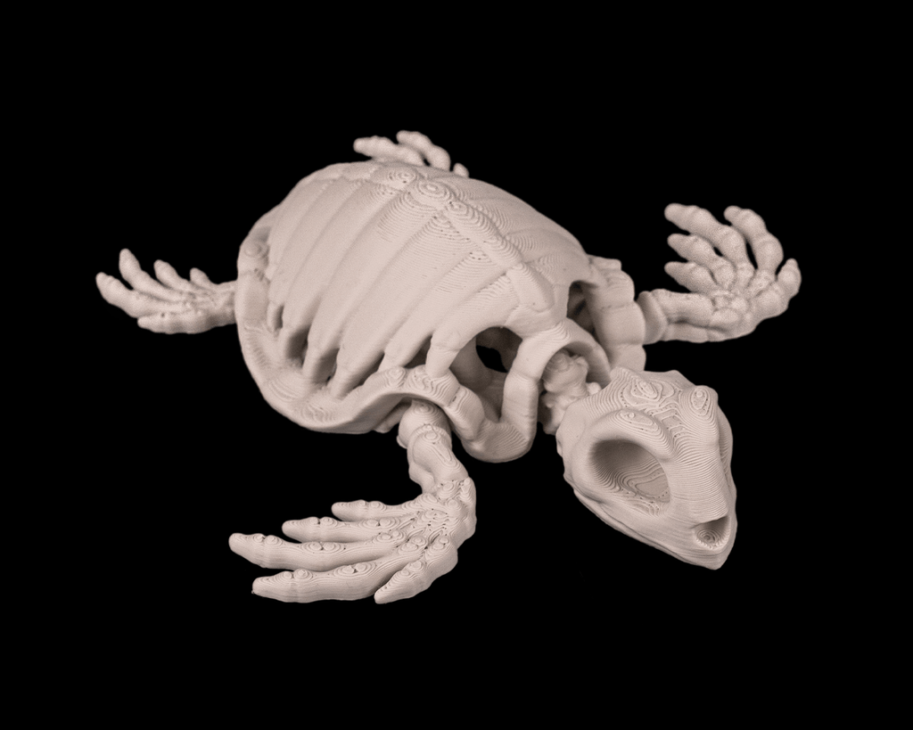 Skeleton Turtle