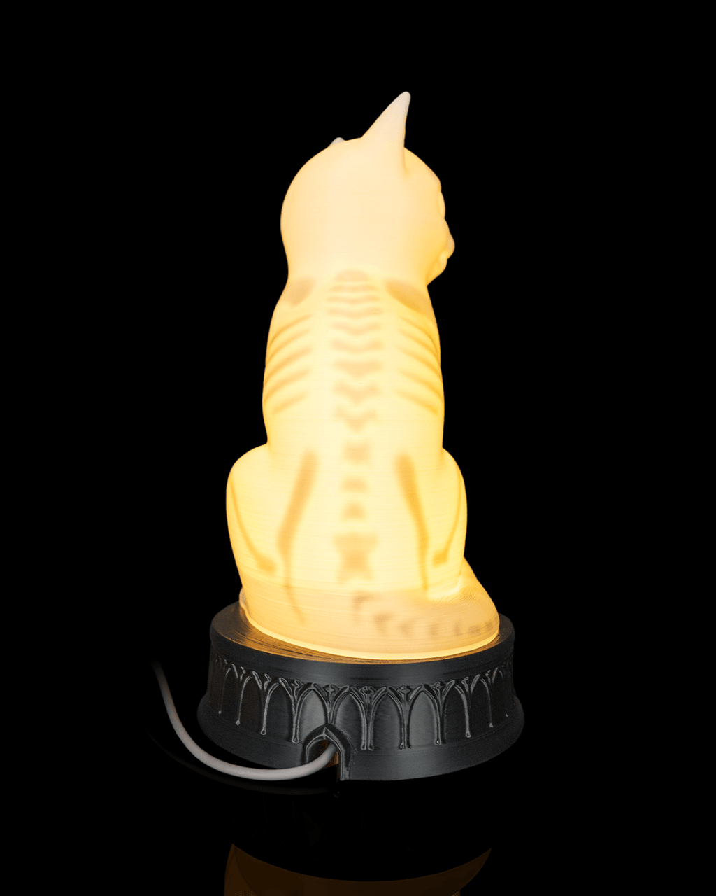 X-Ray Cat Skeleton Table Lamp