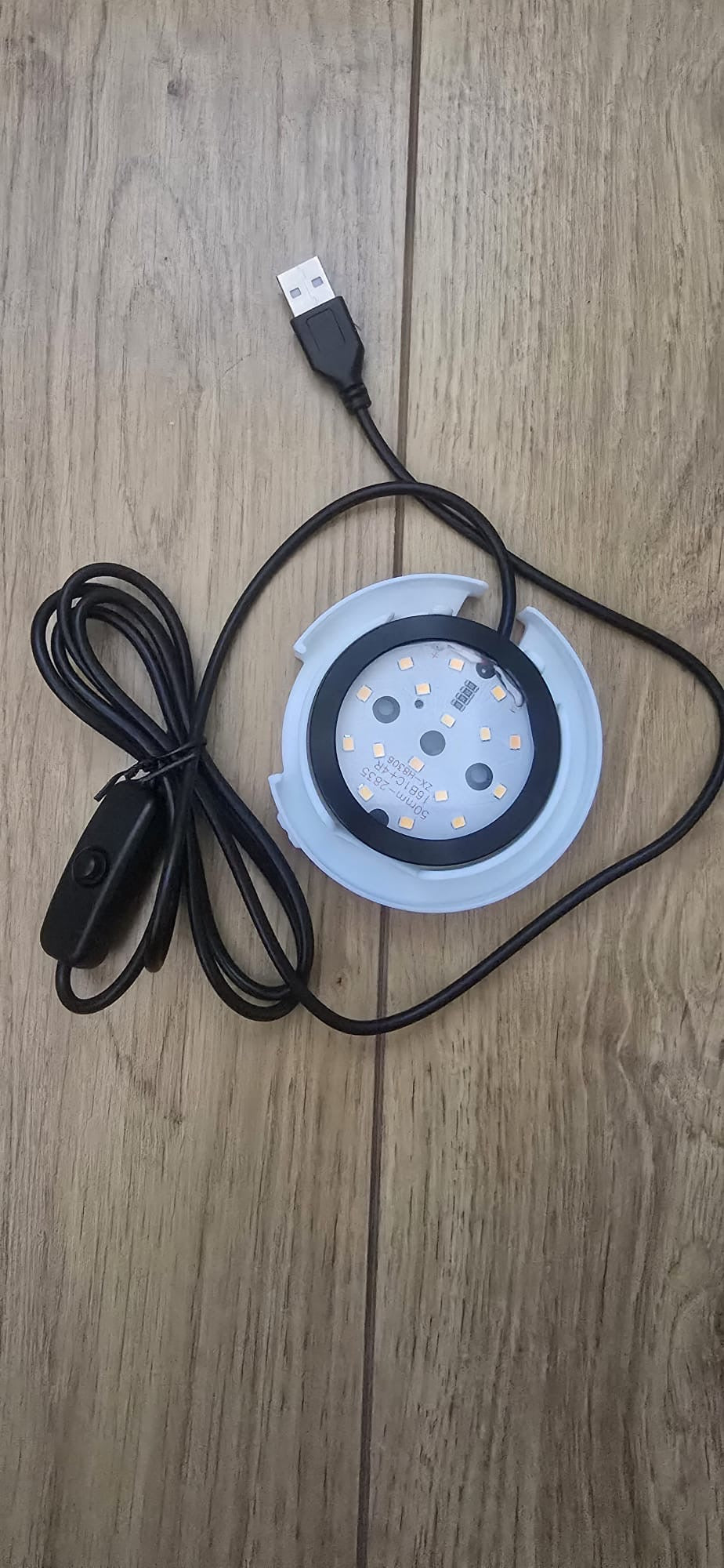 Skull Sphere- Table Lamp