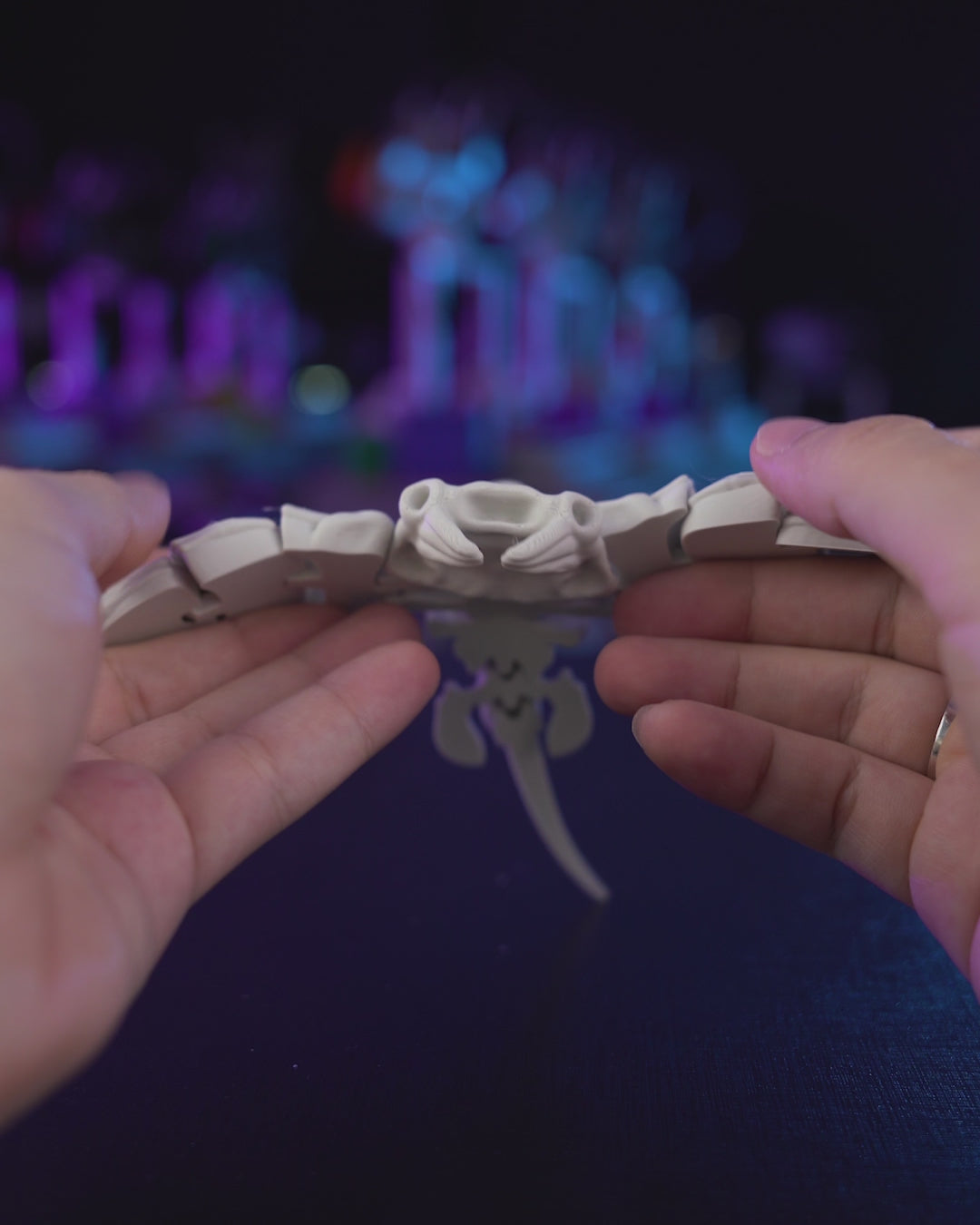 Skeleton Manta Ray