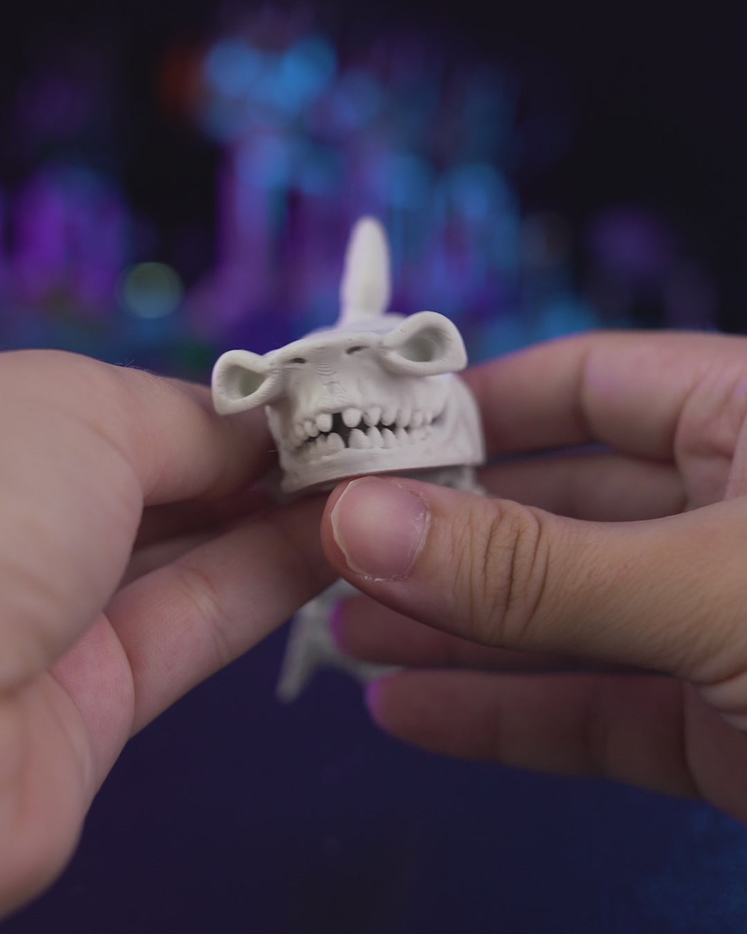 Skeleton Shark