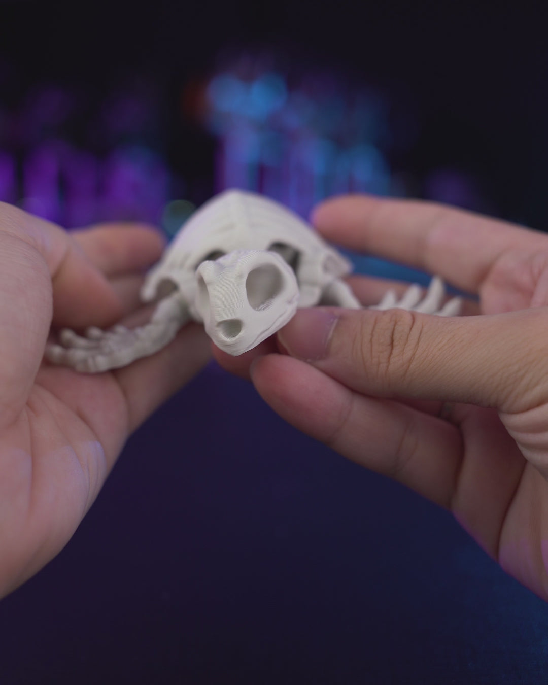 Skeleton Turtle
