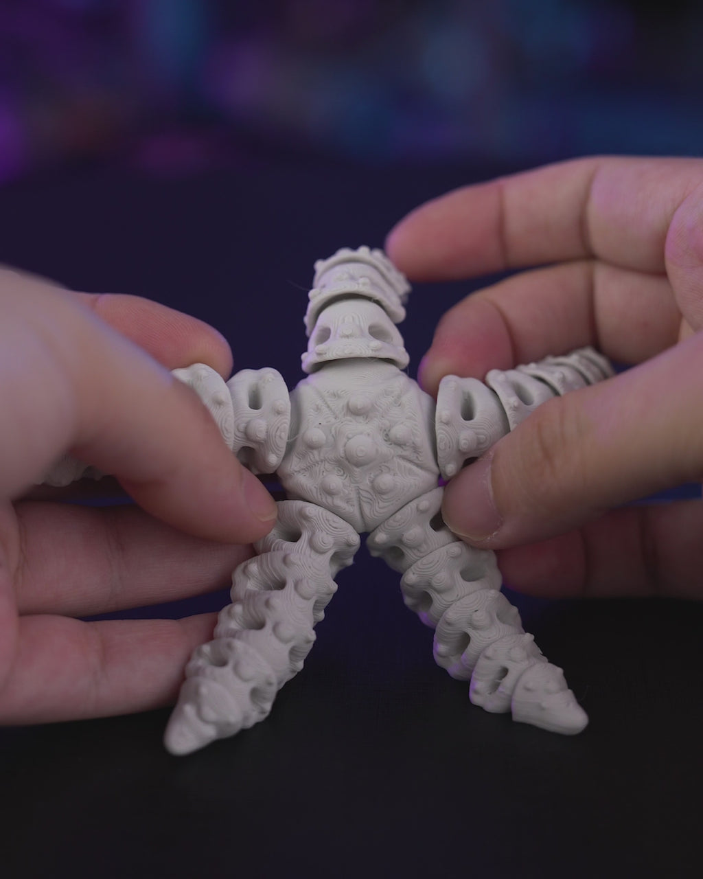 Skeleton Starfish