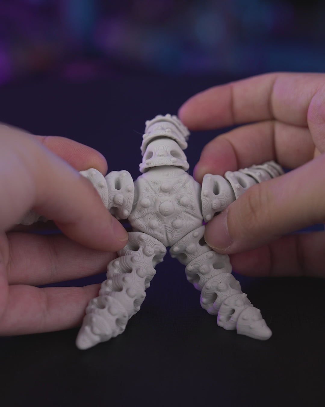 Skeleton Starfish